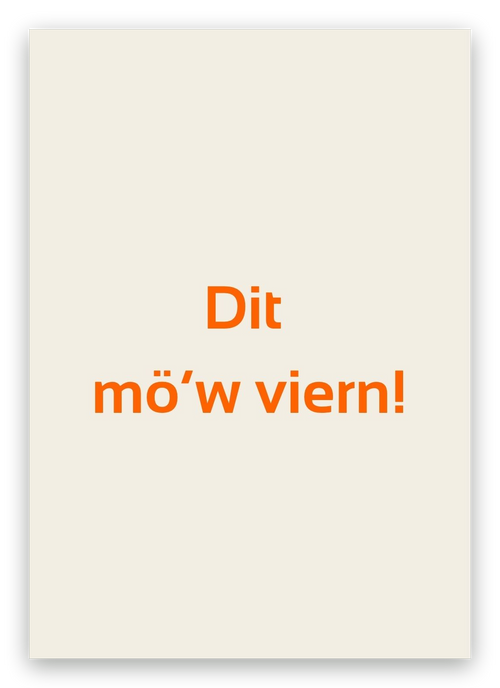 Twentse felicitatiekaart met de tekst: Dit mö’w viern!