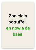Twentse geboortekaart met de tekst: Zon klein pottuffel, en now a de baas